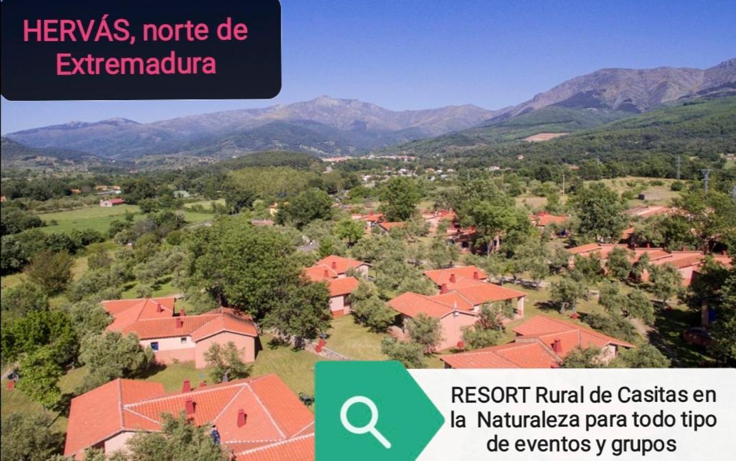Complejo Aldea Vetonia Check Out Hasta Las 20H Parque De Mascotas Zonas Infantiles Ideal Grupos Parejas Familias Informate Apertura Piscina 1 De Mayo Hervás Zewnętrze zdjęcie