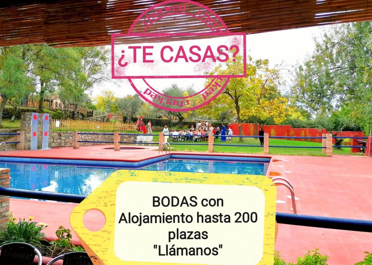 Complejo Aldea Vetonia Check Out Hasta Las 20H Parque De Mascotas Zonas Infantiles Ideal Grupos Parejas Familias Informate Apertura Piscina 1 De Mayo Hervás Zewnętrze zdjęcie
