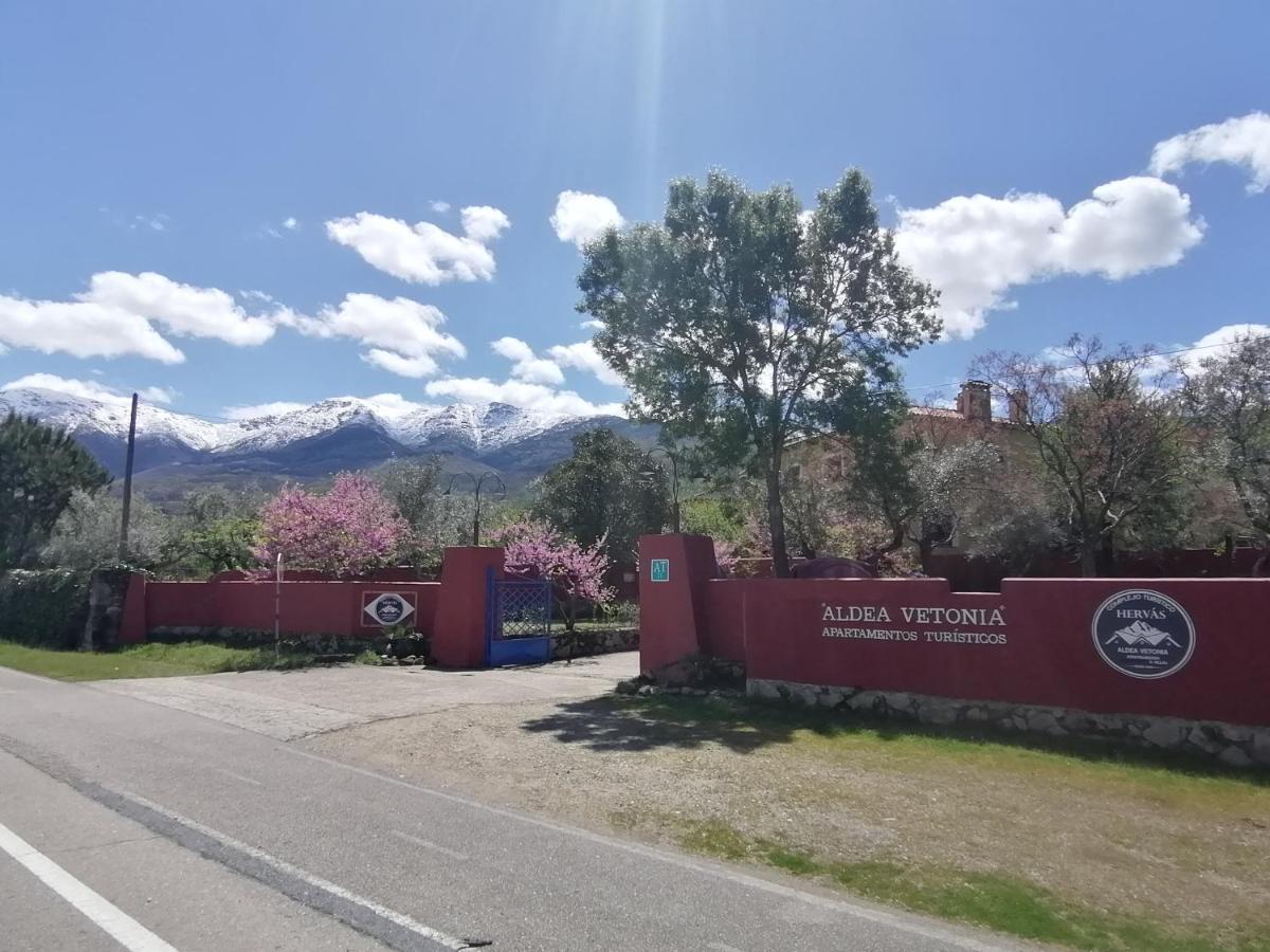 Complejo Aldea Vetonia Check Out Hasta Las 20H Parque De Mascotas Zonas Infantiles Ideal Grupos Parejas Familias Informate Apertura Piscina 1 De Mayo Hervás Zewnętrze zdjęcie
