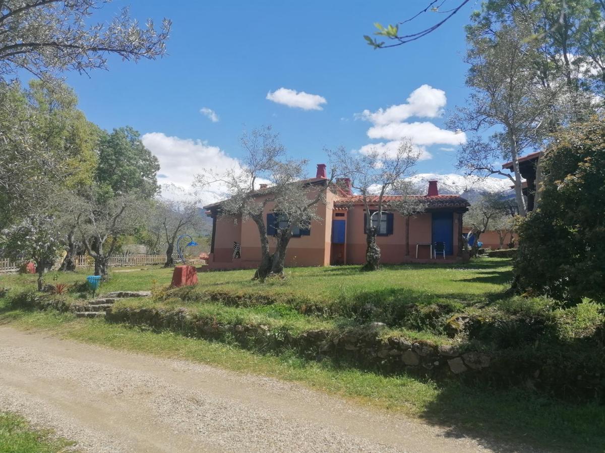 Complejo Aldea Vetonia Check Out Hasta Las 20H Parque De Mascotas Zonas Infantiles Ideal Grupos Parejas Familias Informate Apertura Piscina 1 De Mayo Hervás Zewnętrze zdjęcie