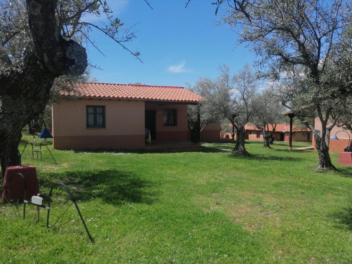 Complejo Aldea Vetonia Check Out Hasta Las 20H Parque De Mascotas Zonas Infantiles Ideal Grupos Parejas Familias Informate Apertura Piscina 1 De Mayo Hervás Zewnętrze zdjęcie