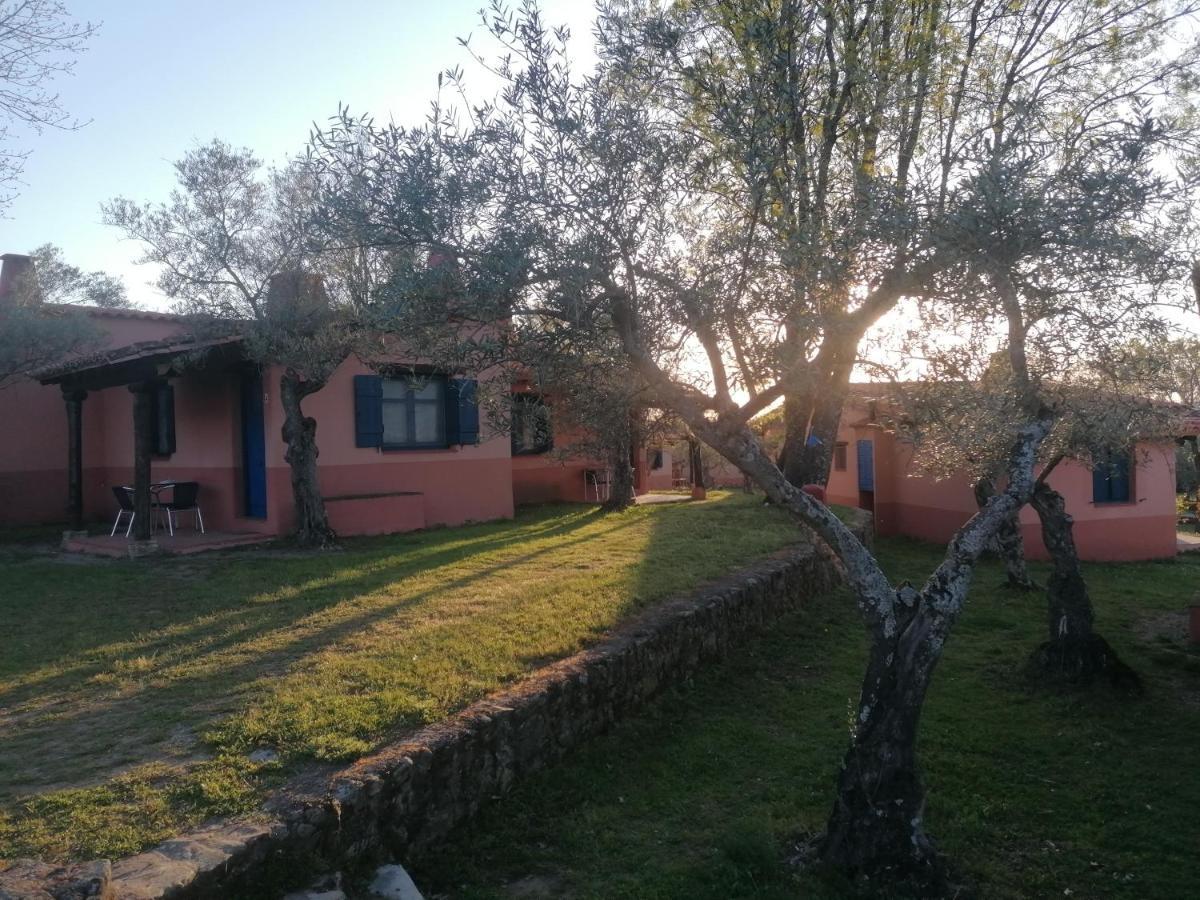 Complejo Aldea Vetonia Check Out Hasta Las 20H Parque De Mascotas Zonas Infantiles Ideal Grupos Parejas Familias Informate Apertura Piscina 1 De Mayo Hervás Zewnętrze zdjęcie