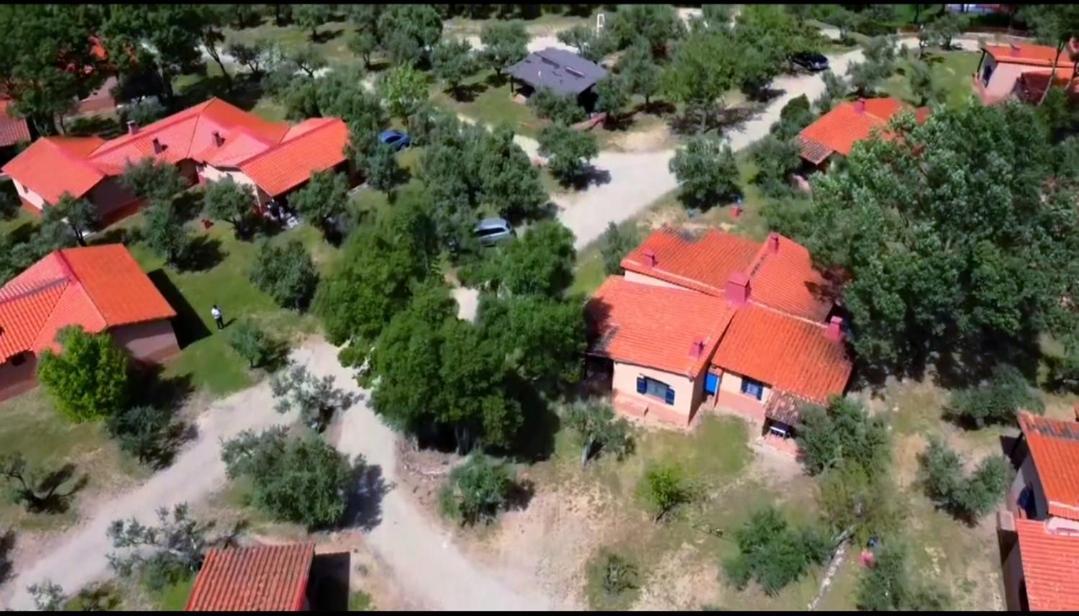 Complejo Aldea Vetonia Check Out Hasta Las 20H Parque De Mascotas Zonas Infantiles Ideal Grupos Parejas Familias Informate Apertura Piscina 1 De Mayo Hervás Zewnętrze zdjęcie