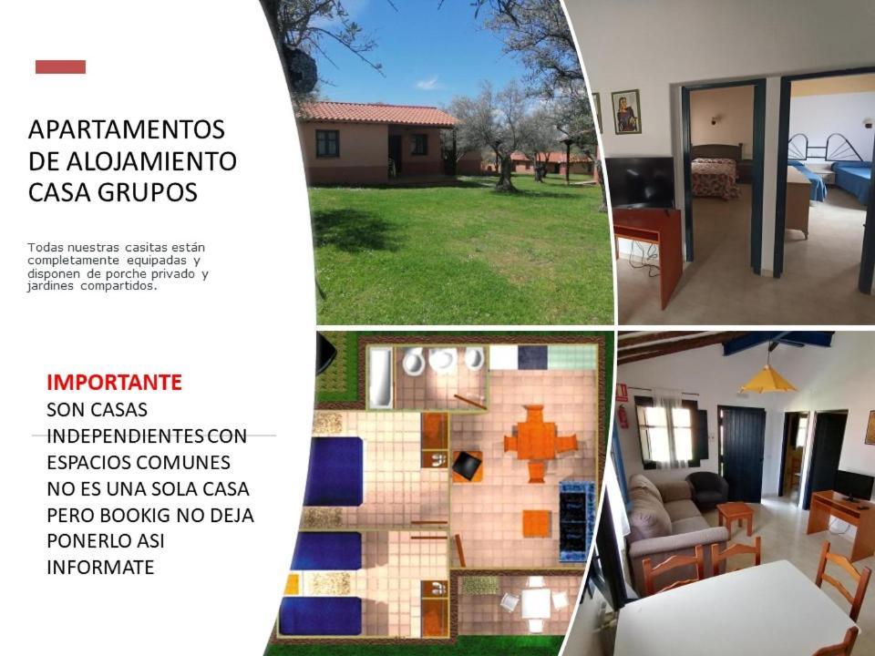 Complejo Aldea Vetonia Check Out Hasta Las 20H Parque De Mascotas Zonas Infantiles Ideal Grupos Parejas Familias Informate Apertura Piscina 1 De Mayo Hervás Zewnętrze zdjęcie
