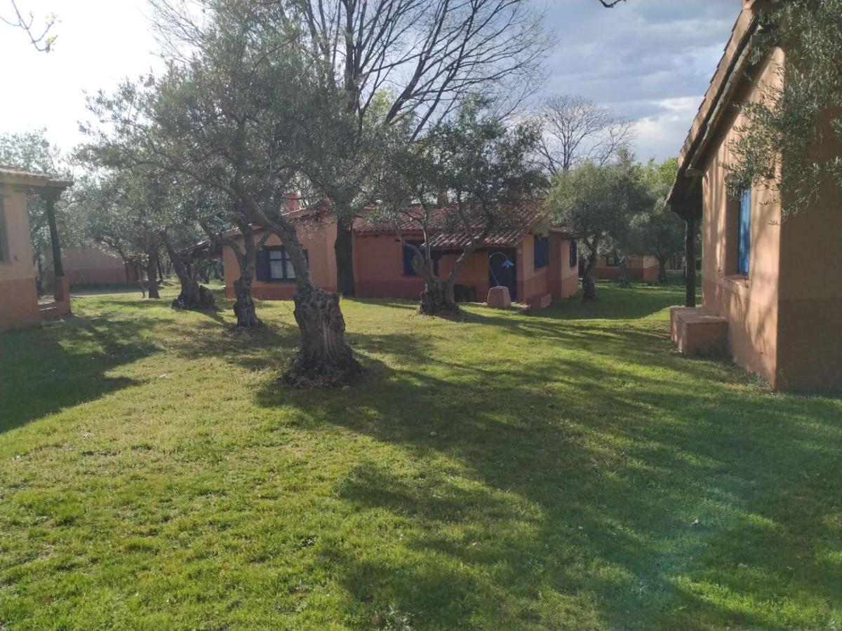 Complejo Aldea Vetonia Check Out Hasta Las 20H Parque De Mascotas Zonas Infantiles Ideal Grupos Parejas Familias Informate Apertura Piscina 1 De Mayo Hervás Zewnętrze zdjęcie