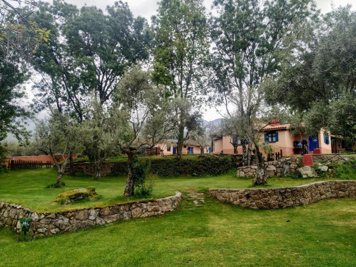 Complejo Aldea Vetonia Check Out Hasta Las 20H Parque De Mascotas Zonas Infantiles Ideal Grupos Parejas Familias Informate Apertura Piscina 1 De Mayo Hervás Zewnętrze zdjęcie