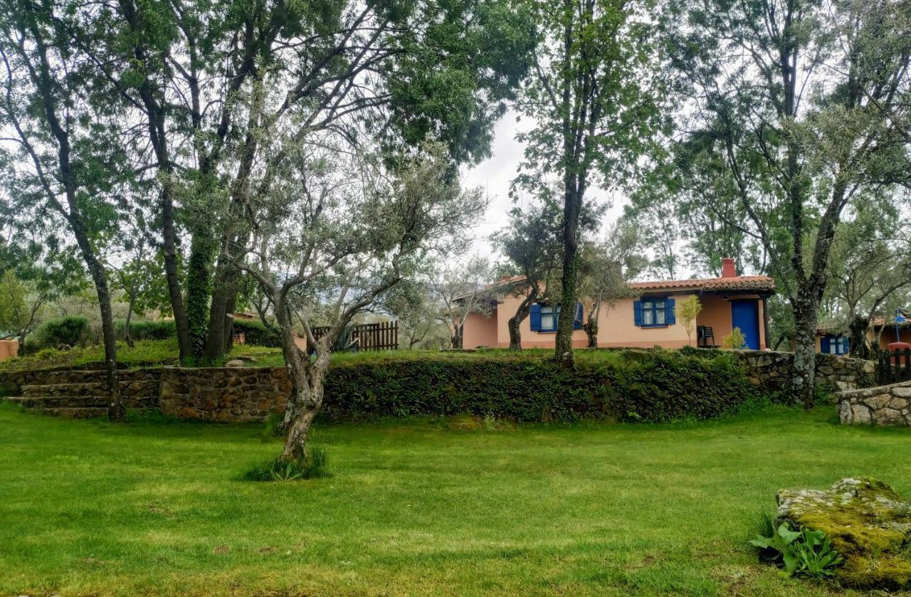 Complejo Aldea Vetonia Check Out Hasta Las 20H Parque De Mascotas Zonas Infantiles Ideal Grupos Parejas Familias Informate Apertura Piscina 1 De Mayo Hervás Zewnętrze zdjęcie