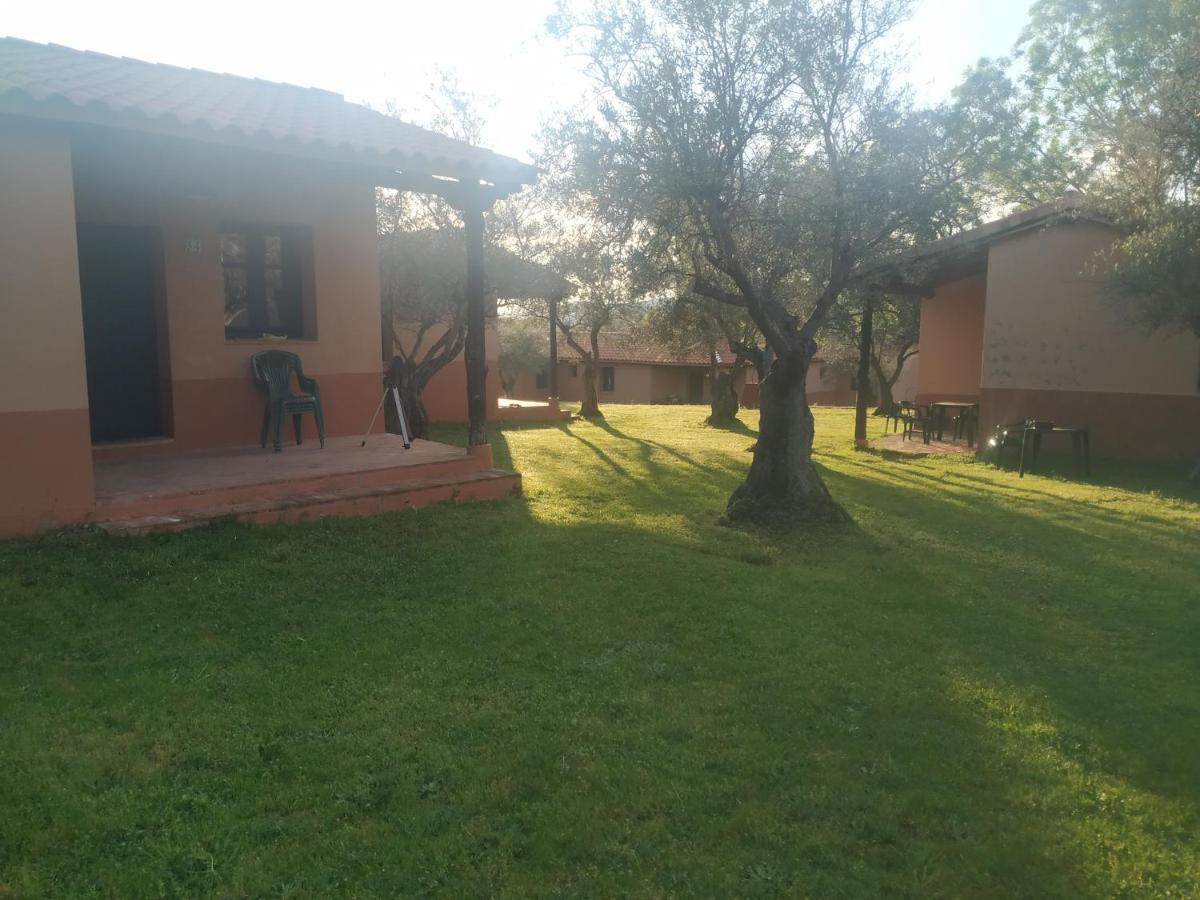Complejo Aldea Vetonia Check Out Hasta Las 20H Parque De Mascotas Zonas Infantiles Ideal Grupos Parejas Familias Informate Apertura Piscina 1 De Mayo Hervás Zewnętrze zdjęcie